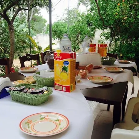 Dei Pini Bed & Breakfast